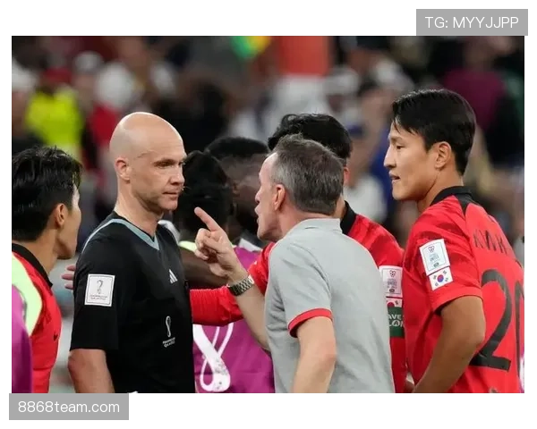 场外未经许可入场判罚规则，裁判如何界定责任主体？